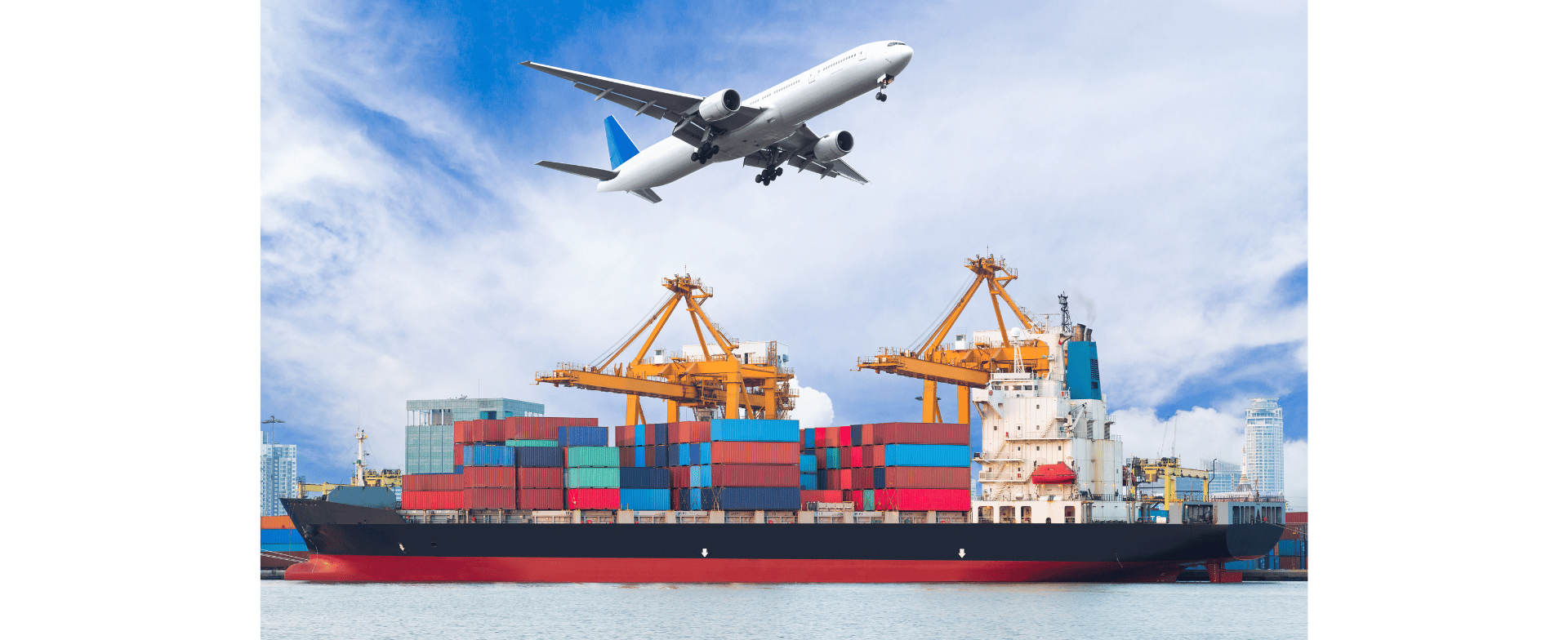 Importation Background